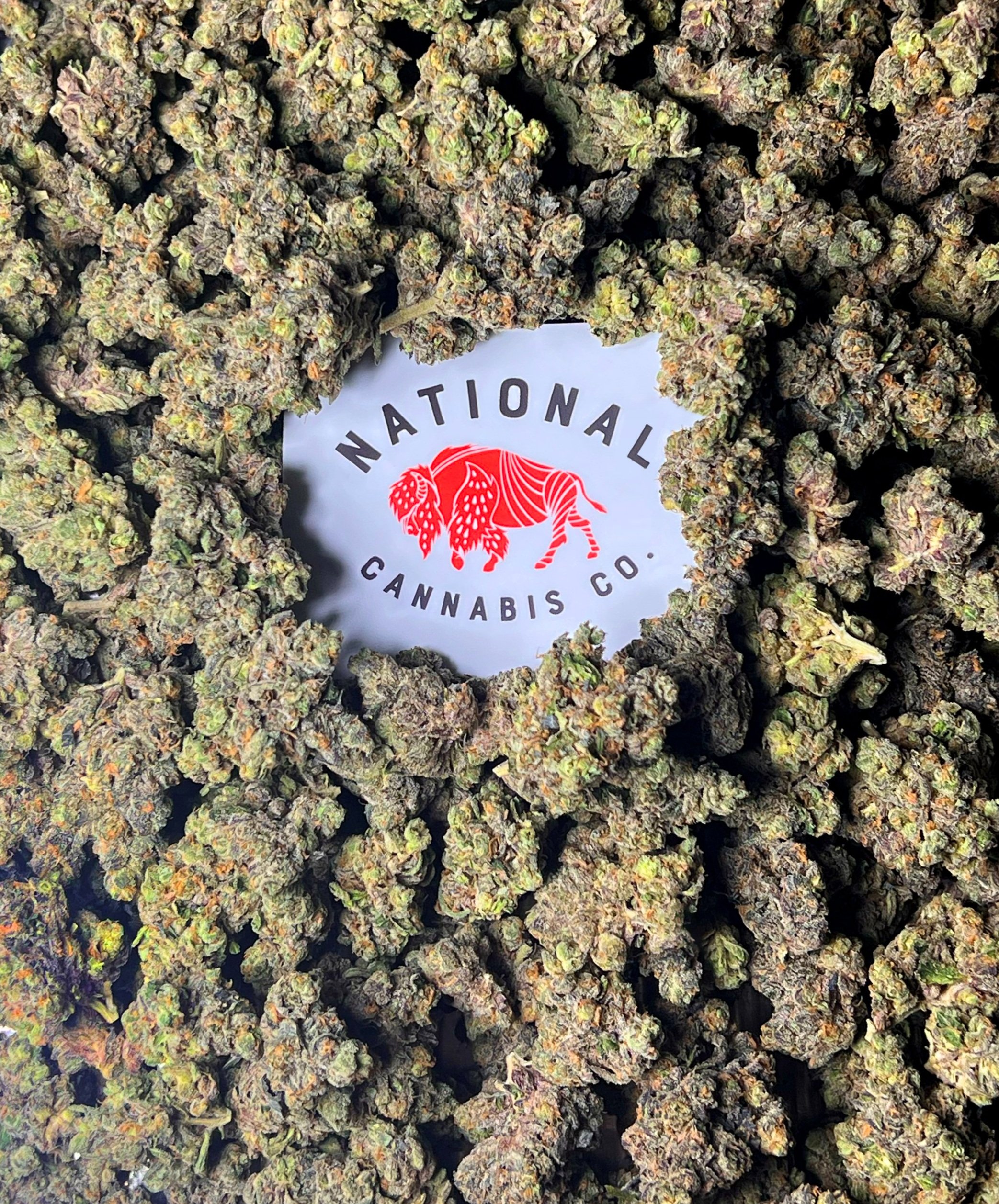 National Cannabis Co. wordmark