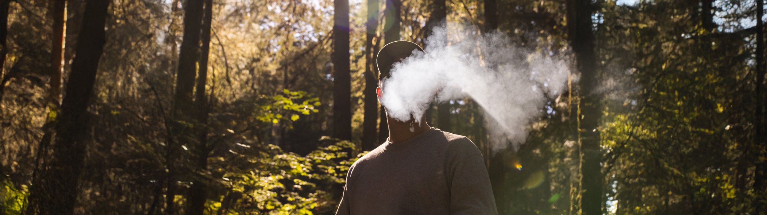 National Cannabis Co. 2-gram infused blunts
